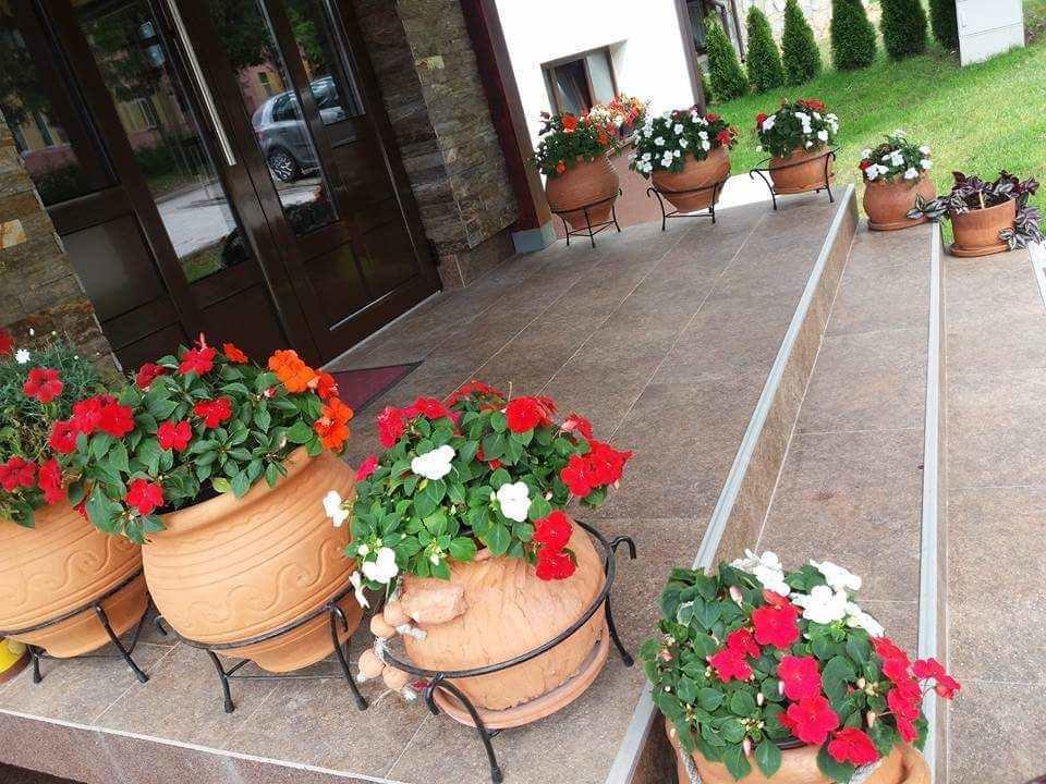 Lufi Penthouse Apartment Zlatibor Dış mekan fotoğraf