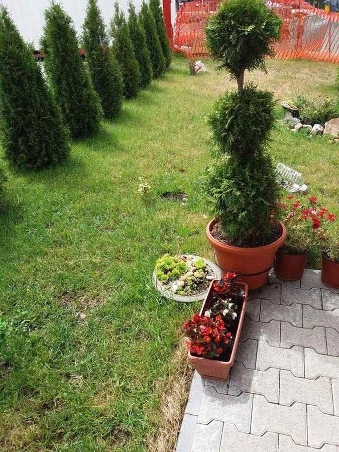 Lufi Penthouse Apartment Zlatibor Dış mekan fotoğraf